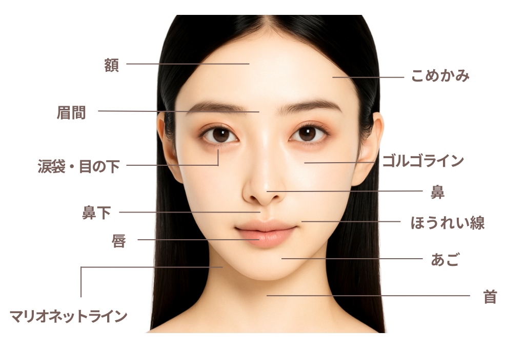 ヒアルロン酸注入のデザイン設計（骨格・靭帯・脂肪を評価）イメージ｜大阪・心斎橋 BiBiクリニック