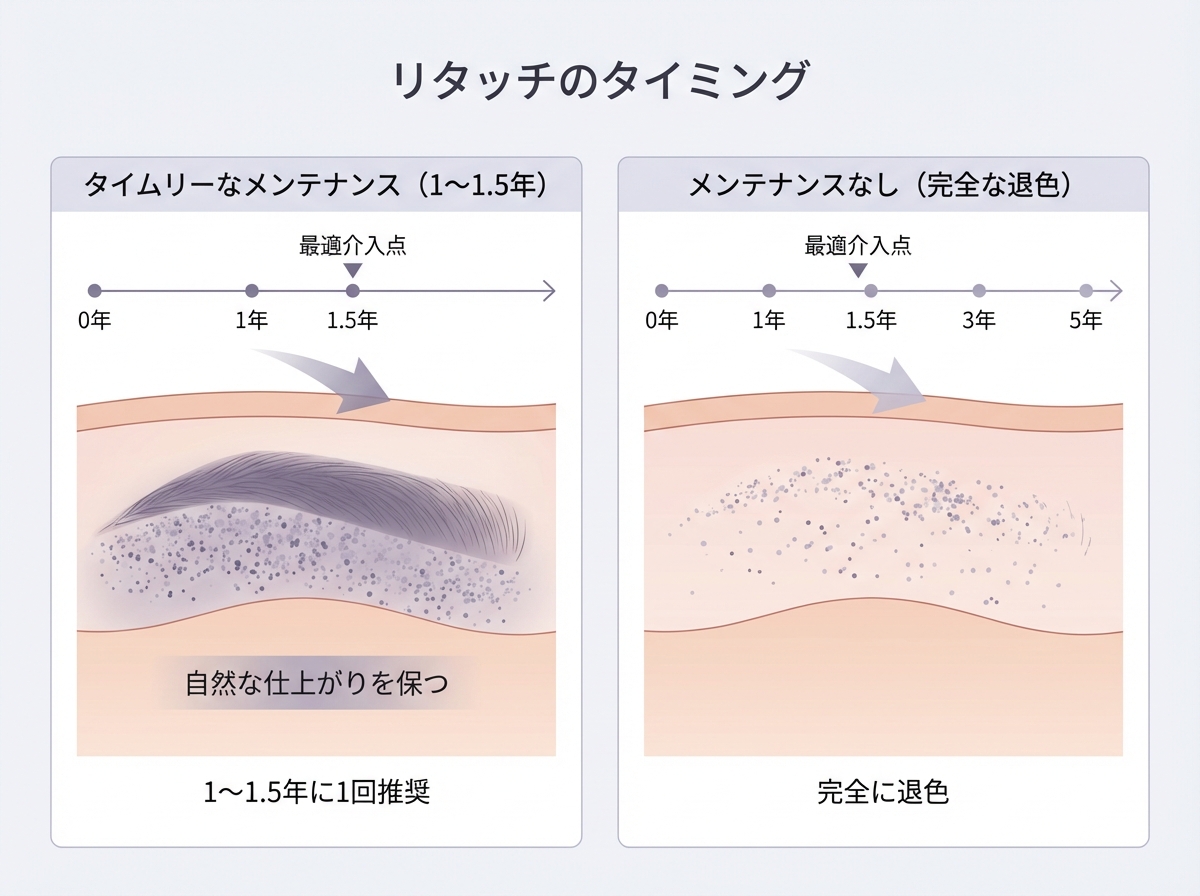 アートメイクの最適なリタッチタイミングとメンテナンスサイクルを示す医学イラスト